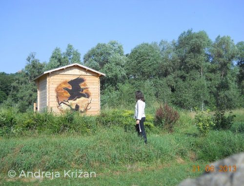Vikend doživetje v spoznavanju Umetnosti Narave, 3. del: Na rodovni posesti Andreje Križan Lipnik