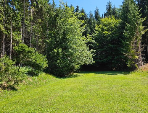 Zdravilna čarobnost barv in zvočna kopel v naravi