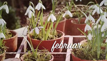 februar-ali-vesnar-mitolosko