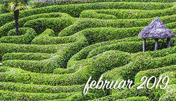 ​Februar v tem letu podpira vse spremembe, ki so se pripravljene realizirati. V osnovi bo kipela navdušenost nad aktivnostmi in delovanjem.