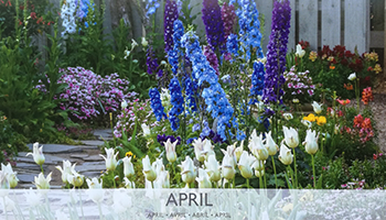 na-aprilske-dvome-odgovarjajmo-z-altruizmom