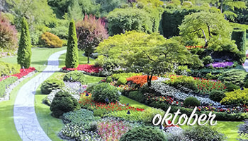 oktober-prinasa-obcutljivost