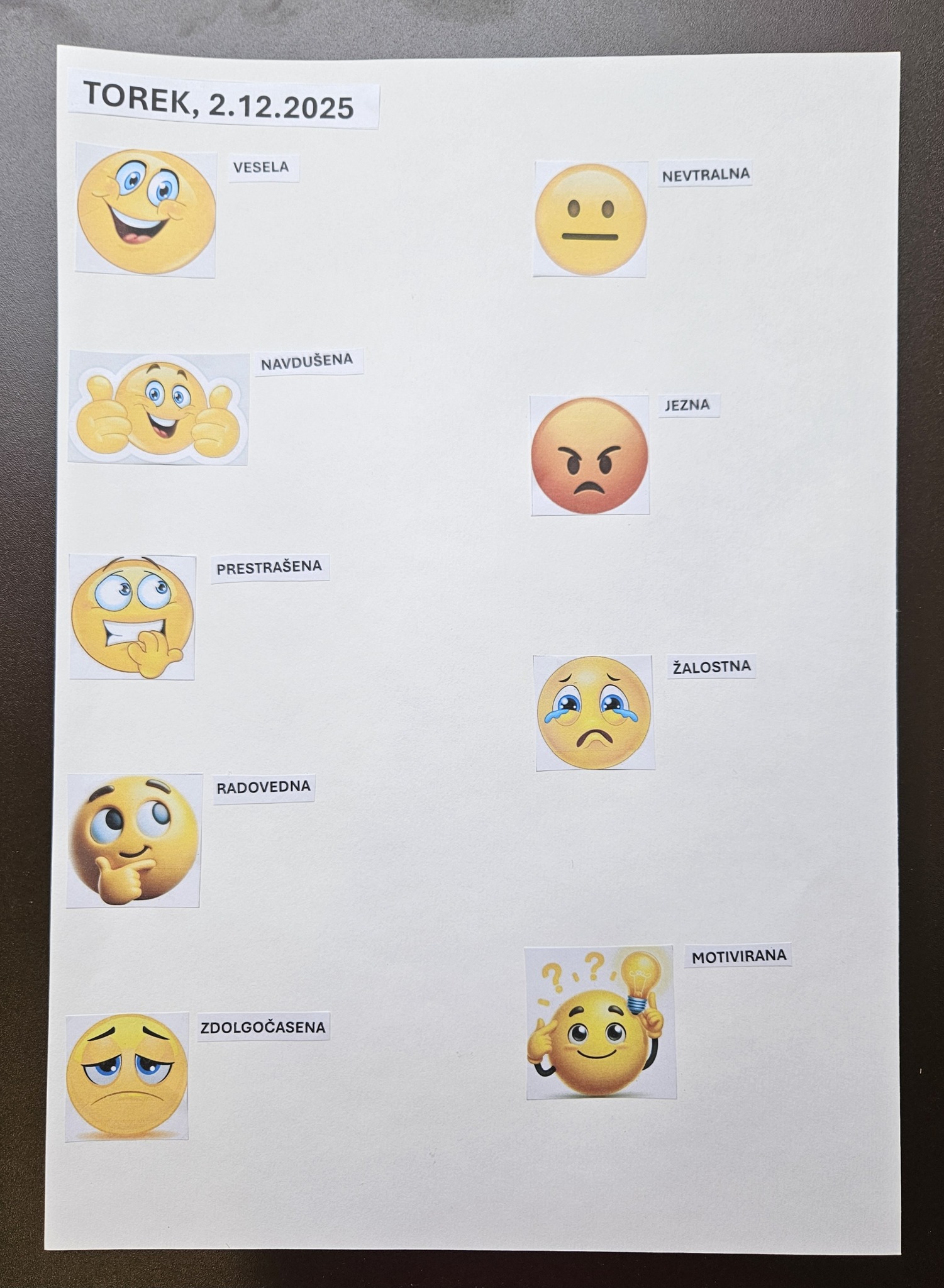 vrste-inteligence-v-praksi-1